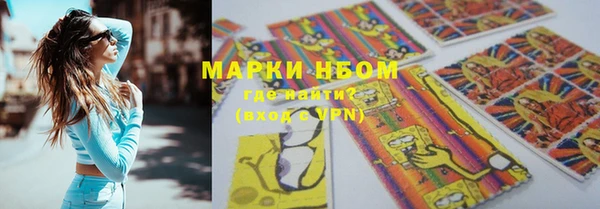 стаф Алексин