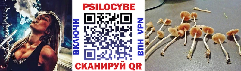 где продают наркотики Берёзовский Галлюциногенные грибы MAGIC MUSHROOMS